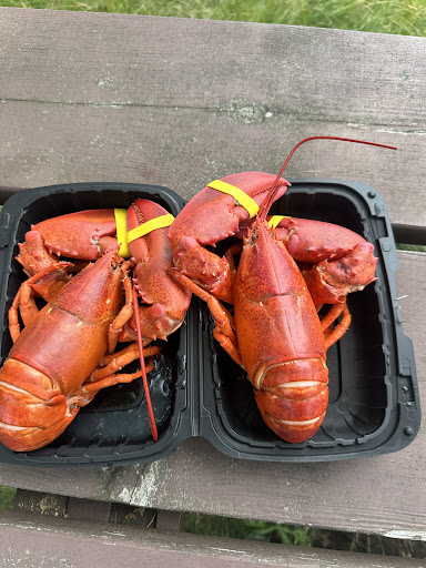 Eggemoggin Country Store